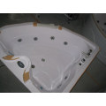 CE ISO9001 Baignoire d&#39;hydromassage ABS 2 coussins (CL-338)